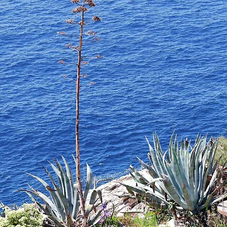 Kate's Place Dubrovnik