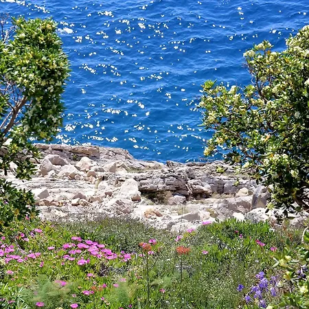 Kate's Place Dubrovnik