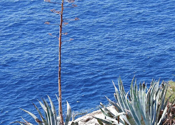 Kate's Place Dubrovnik