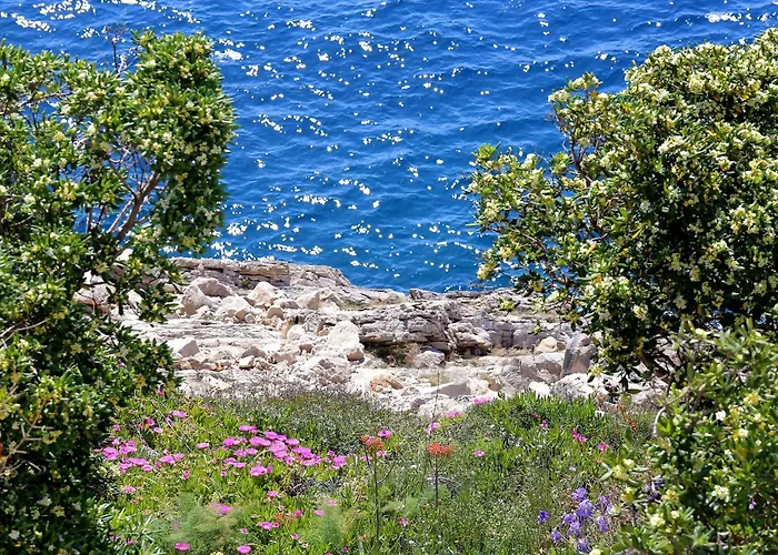 Kate's Place Dubrovnik