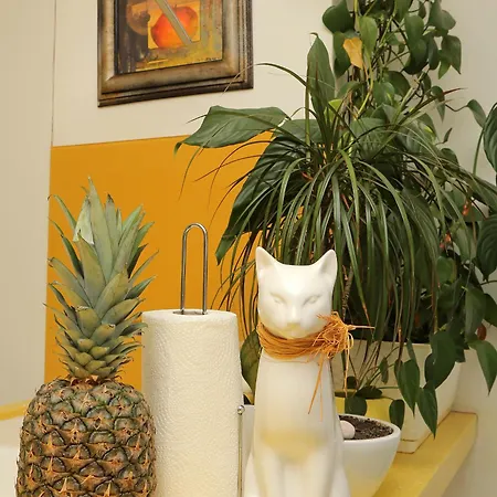 Kate's Place Appartamento *